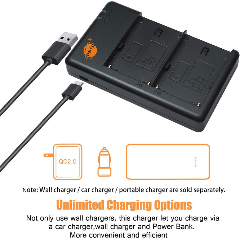 DSTE Replacement for 2X NP-QM91D Battery + Rapid Dual Battery Charger with Micro USB Cable Compatible Sony CCD-TRV328 338 DCR-DVD300 301 DCR-HC14 DCR-PC105 330E as NP-FM50 NP-QM71 NP-FM70 NP-FM90