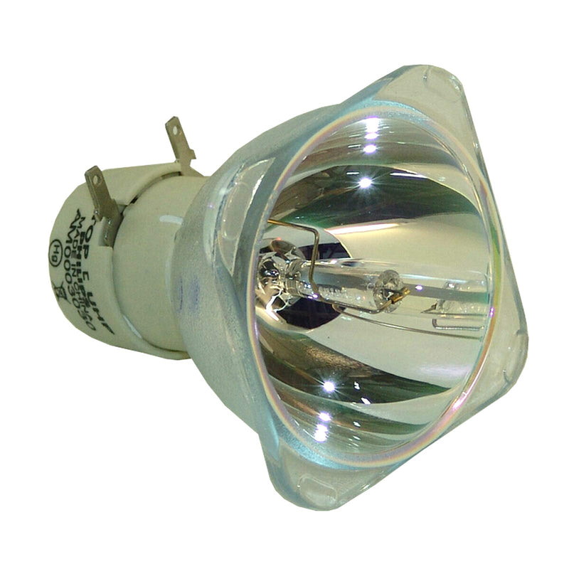 Sklamp 5J.J9R05.001 Replacement Bare Lamp for Benq MS504 MS524 MS524A MW526A MX525 MX525A,OEM Bulb Inside