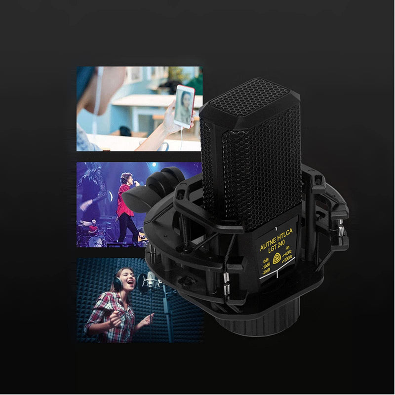 DUTTY Large Diaphragm Condenser Microphone Square Computer Mobile Phone K Song Mic Live Broadcast Equipment