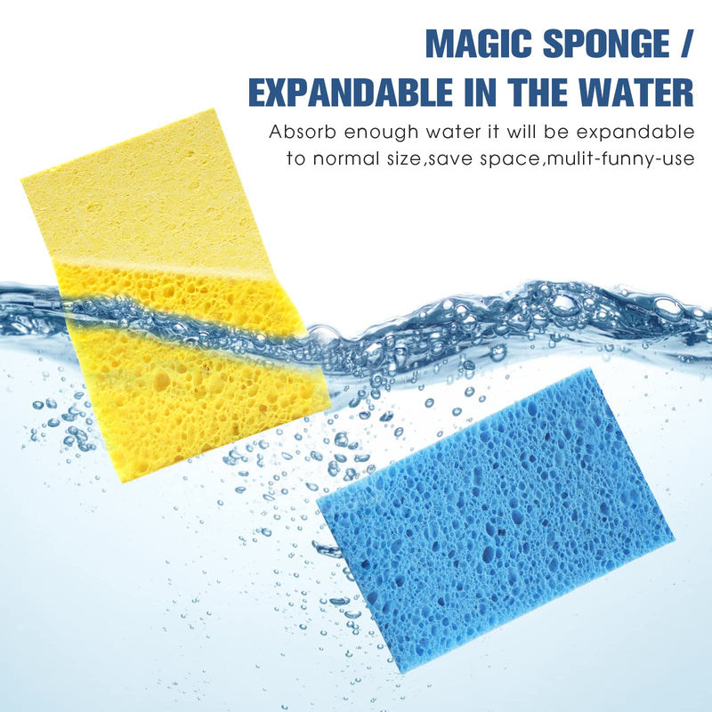 Compressed Cellulose Kitchen Sponges 24Pack,Non-Scratch Biodegradable Natural Sponge Scrub for Dishes Cleaning,Funny Colorful DIY Sponge for Kids Large(Pack of 24）