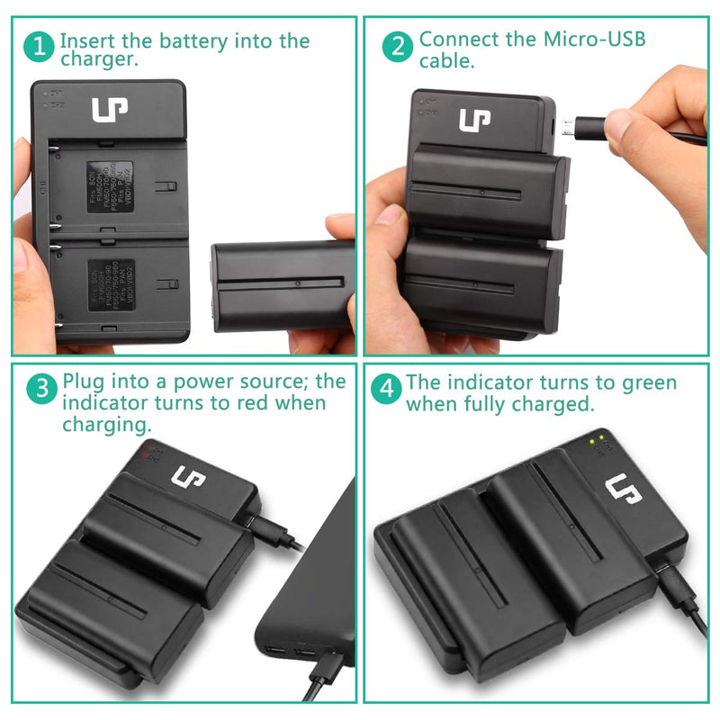 NP-F550 Battery Charger Pack, LP 2-Pack Battery & Dual Slot Charger, Compatible with Sony NP F970, F960, F770, F750, F570, F550, F530, F330, CCD-SC55, TR910, TR917, CN160, CN-216 LED Light & More NP-F550 2 Batteries and Charger