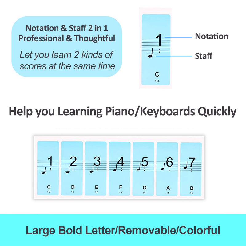 Piano keyboard stickers, 49/61/76/88 Key Large Bold Letter Removable Colorful Piano Key Stickers and Finger Exerciser Hand Grip Workout Equipment, Perfect for Kids & Beginners Learning Piano/Keyboard