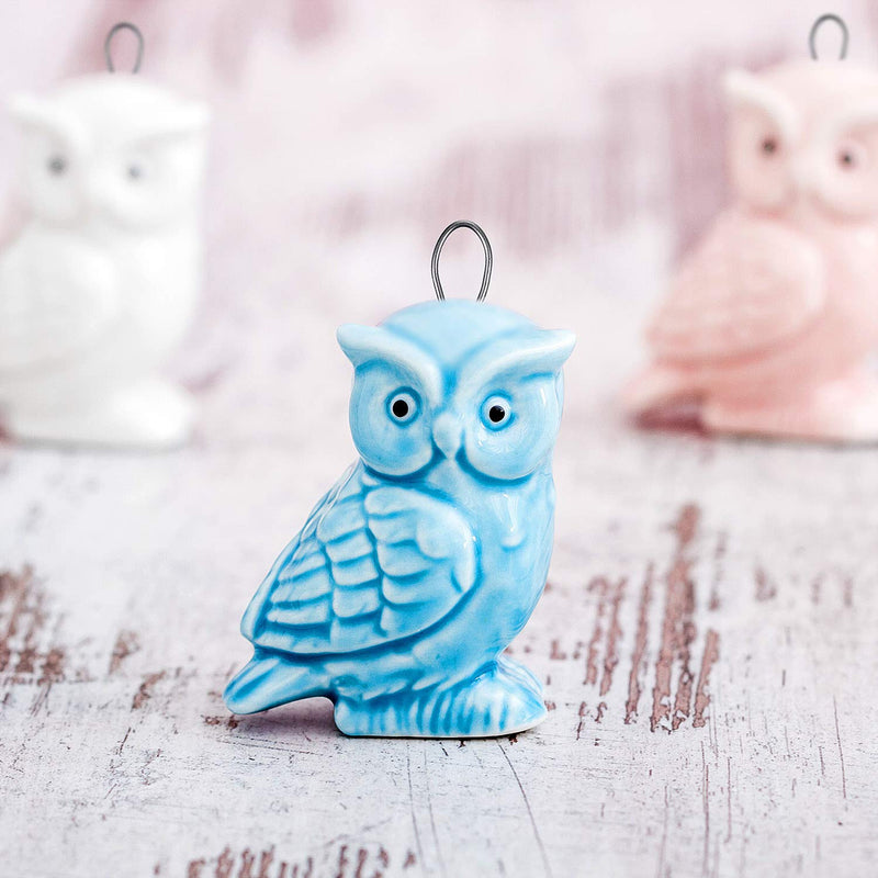 10 Feet High Temp Wire Nichrome Heat Resistant Wire 17 Gauge General Purpose Support Wire with 1 Mini Plier