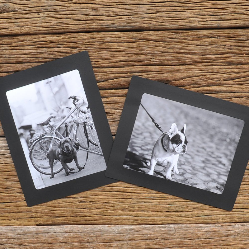 [AUSTRALIA] - Monolike Paper Photo Frames 6x8 Inch Black 15 Pack - Fits 6"x8" Pictures 6x8 Black 15p 