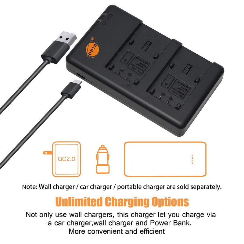DSTE 2X VW-VBT190 Battery + Rapid Dual Battery Charger with Micro USB Cable for Panasonic HC-V110GK V270GK V380GK V520GK V520MGK V720MGK V770GK VX870GK VX980GK W580GK W850MGK WX970GK WXF990MGK Camera