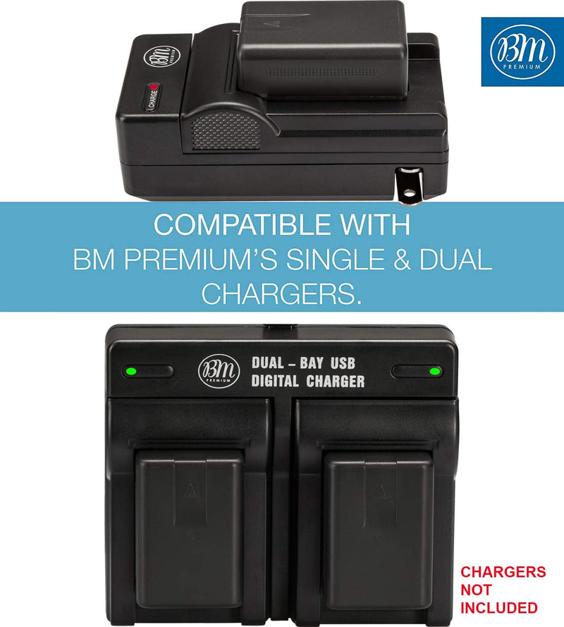 BM Premium 2 Pack VW-VBK180 Batteries for Panasonic HC-V10 HC-V100 HC-V500 HC-V600M HC-V700 HDC-HS40 HS40K HS60 HS60K HS80 HS80K SDR-T71 T76 Camcorder