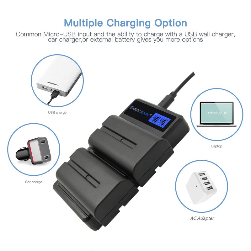 NP-F550 Battery COOLSHOW LCD Dual Charger and 2 Packs 2600mAh F550 Battery for Sony NP F970 F750 F770 F960 F550 F530 F330 F570 CCD-SC55 TR516 TR716 TR818 TR910 TR917