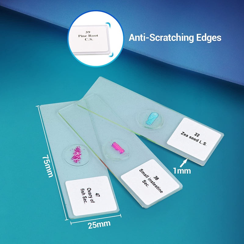 50 Prepared Microscope Slides with Specimens for Kids Students - Plants Insects Fish Animals Human Tissue Cells Samples, for Biological Science Lab, Children Education, Homeschool 50 Pcs