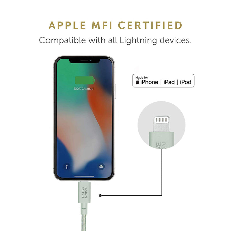 NATIVE UNION Belt Cable USB-C to Lightning - 4ft Ultra-Strong Reinforced Charging Cable with Leather Strap [MFi Certified] Compatible with iPhone/iPad (Sage) Sage