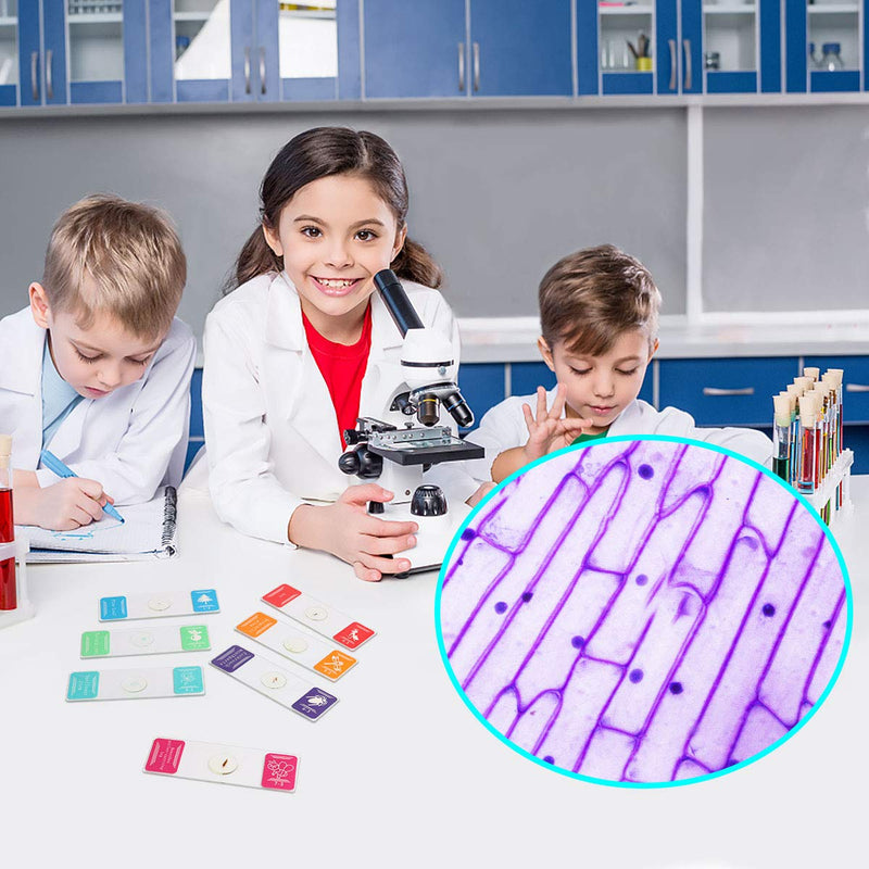Bysameyee 35PCS Prepared Microscope Slides with 7 Types Specimens, Insect/Plant Glass Sample Slide for Kids Adults Family Preschool Education Scientific Enlightenment