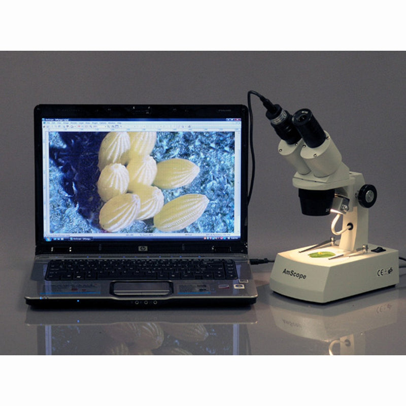 AmScope - MD35A MD35 New Microscope Imager Digital USB Camera, Compatible with Windows XP/Vista/7/8/10