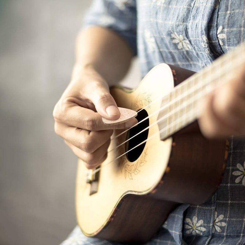 [AUSTRALIA] - Nylon Ukulele Strings with Felt Ukulele Picks for Soprano (21 Inch)/ Concert (23 Inch)/ Tenor (26 Inch) Ukulele (5 Sets String, 10 Felt Picks) 