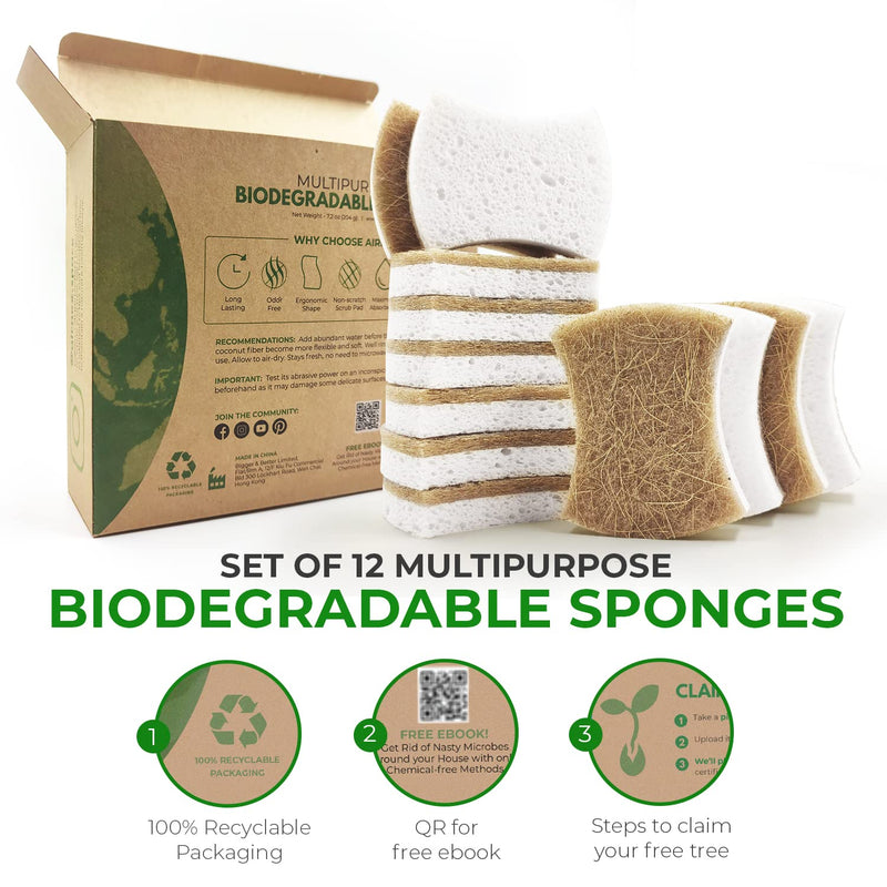 [AUSTRALIA] - Biodegradable Natural Kitchen Sponge - Compostable Cellulose and Coconut Walnut Scrubber Sponge - Pack of 12 Eco Friendly Sponges for Dishes 