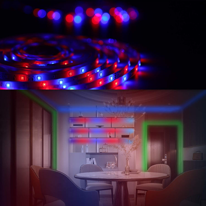 [AUSTRALIA] - Richsing LED Strip Lights 32.8 Feet LED Lights for Room 32.8ft-No White 