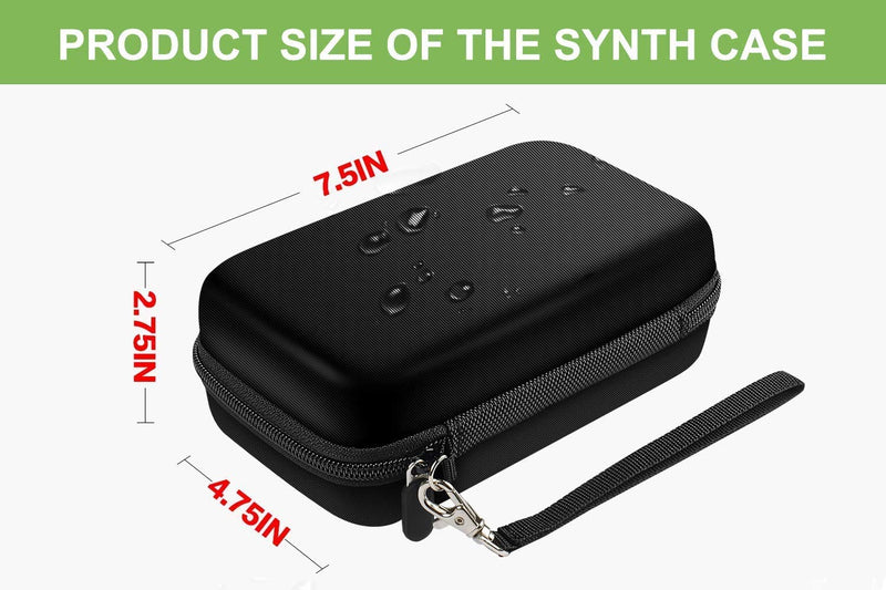 Electronic Musical Instrument Synthesizer Case