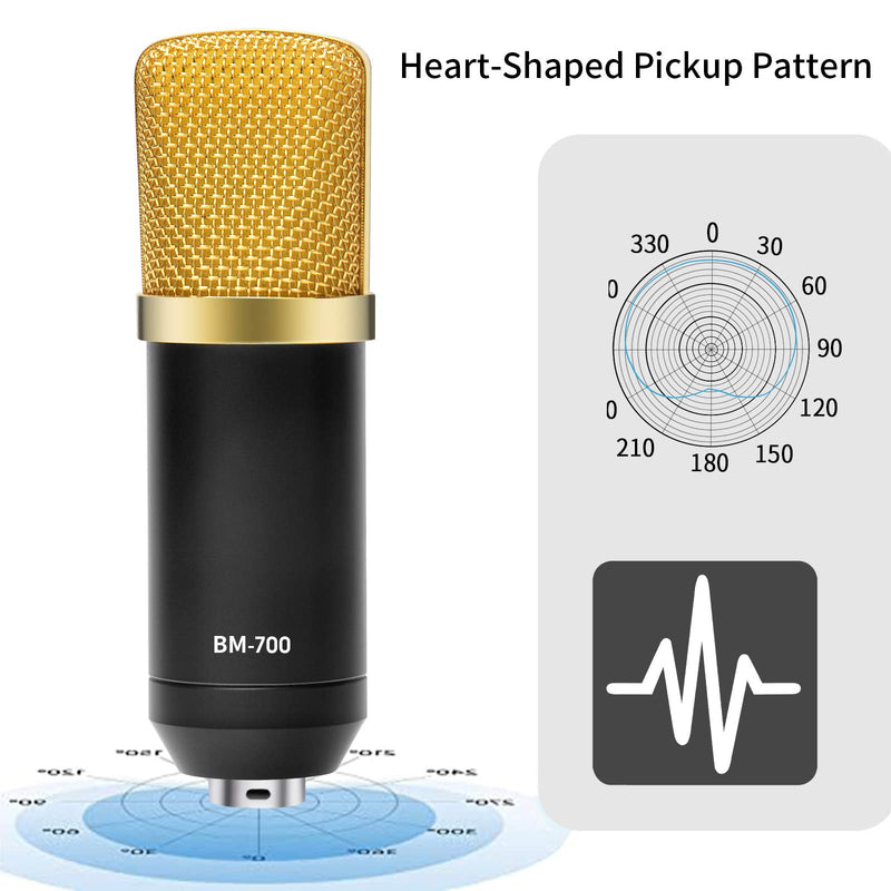 DIOKAYI USB Microphone Kit，Condenser Computer Cardioid Mic for Podcast, Game, YouTube Video, Stream, Recording Music, Voice Over