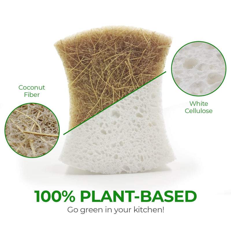 [AUSTRALIA] - Biodegradable Natural Kitchen Sponge - Compostable Cellulose and Coconut Walnut Scrubber Sponge - Pack of 12 Eco Friendly Sponges for Dishes 