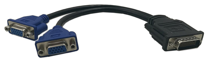 [AUSTRALIA] - zdyCGTime DMS-59 59-Pin Male to Dual VGA Female Y Splitter Video Card Adapter Cable for Matrox Molex ATI Nvidia Lenovo Hp Dell Computer-10inch 