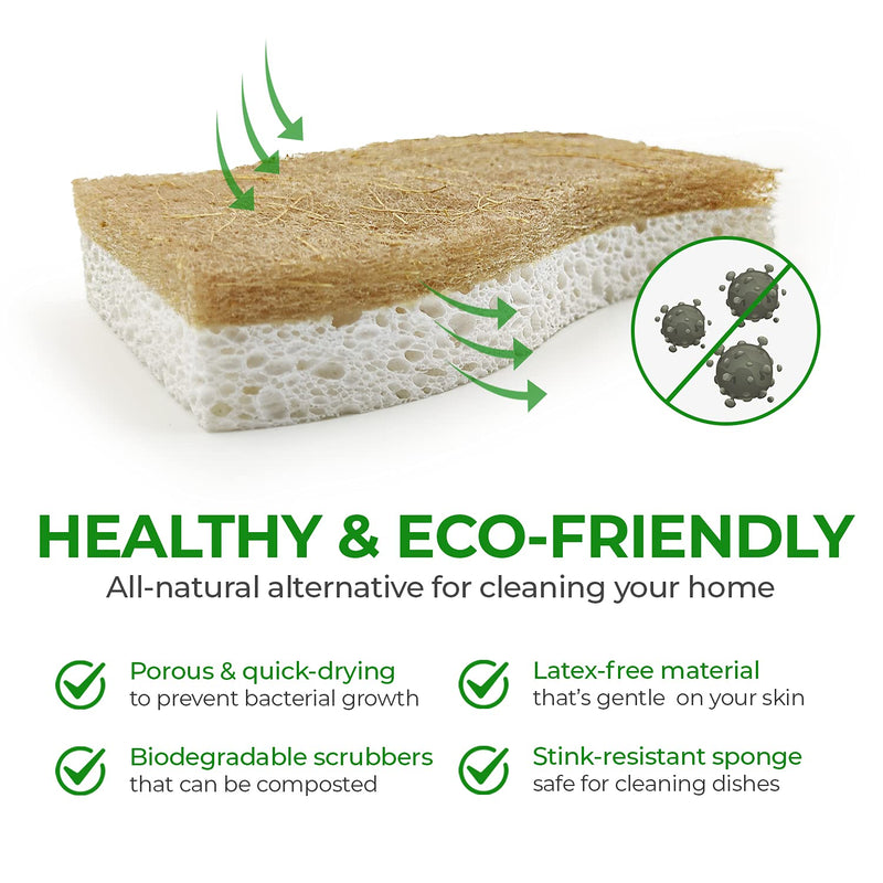 AIRNEX Biodegradable Natural Kitchen Sponge - Compostable Cellulose and Coconut Walnut Scrubber Sponge - Pack of 12 Eco Friendly Sponges for Dishes