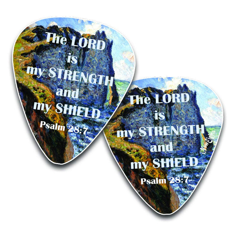 Christian Guitar Picks (12 pack)- Be Strong - Jeremiah 29:11 - Celluloid Medium - Best Stocking Stuffers for Dad Men Thanksgiving Christmas Birthday - Worship The Lord Excitedly