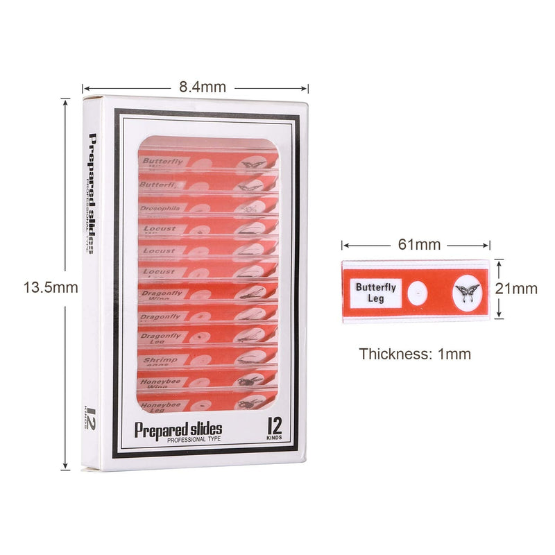 48PCS Kids Plastic Prepared Slides for Microscope of Animals Insects Plants Flowers Sample Specimens for Basic Biological Science Education #81053
