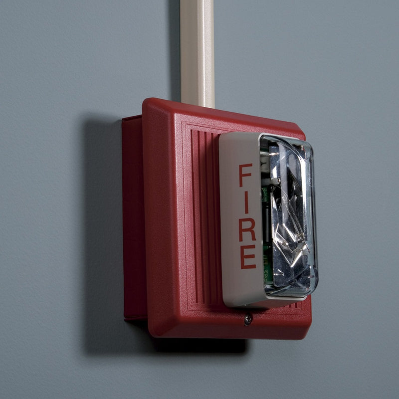 [AUSTRALIA] - Wiremold Metal Raceway, Extending Power On-Wall Shallow Switch and Receptacle Box Fitting, Ivory, V5748S 