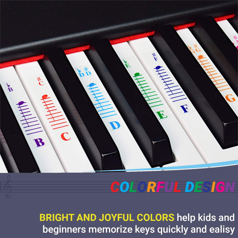 QMG Piano Stickers for All White Keys (49/61/76/88 Key Keyboards) – Bright Colorful Letters, Transparent and Removable, Perfect visual tool for kids and beginners, Key-Top design, Made in USA