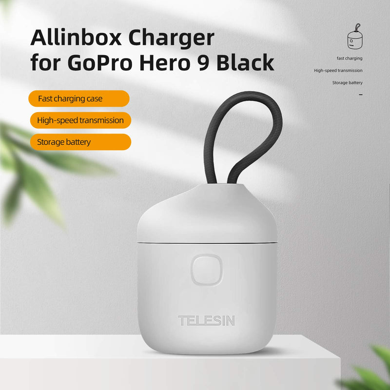 TELESIN Allin Box USB Battery Charger for GoPro Hero 10 Hero 9 Black, with High Speed USB 3.0 SD Card Reader Function Waterproof Storage Carry Case for Go Pro 9 10 Original Batteries 1xCharger