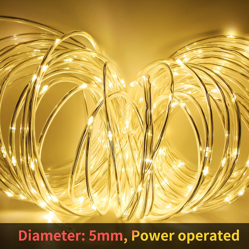 Rope Light Mains Powered, Infankey 66FT 200 LED Rope Lights 5mm, 8 Modes & Warm White, Remote Control & Timer, Waterproof Outdoor Christmas Lights for Garden, Patio, Tree, Room Decor 65ft