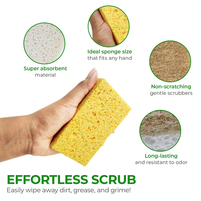AIRNEX 18 Pack Biodegradable Natural Kitchen Sponge - Compostable Cellulose and Coconut Walnut Scrubber Sponge - Eco Friendly Sponges for Dishes