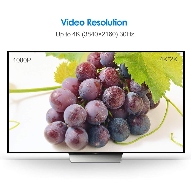 Rankie Mini DisplayPort to DisplayPort Cable, Mini DP to DP, 4K Ready, Gold Plated, 6 Feet