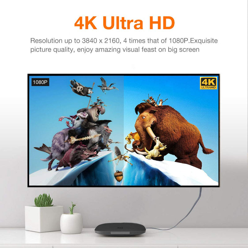 HDMI 2.0 Cable 3.3ft, Snowkids 4K@60Hz High Speed 18Gbps HDMI 2.0 Cable, Flat Braided HDMI Cord Support 3D 4K HDR 2160P 1080P ARC Ethernet, Compatible with 4K TV/HD TV PC Blu-ray Projector-Gray 3.3 feet
