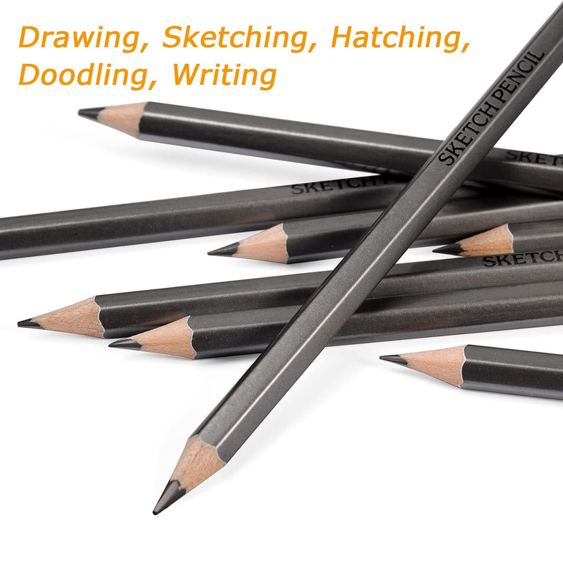 Dyvicl Professional Drawing Sketching Pencil Set - 12 Pieces Drawing Pencils 10B, 8B, 6B, 5B, 4B, 3B, 2B, B, HB, 2H, 4H, 6H Graphite Pencils for Beginners & Pro Artists