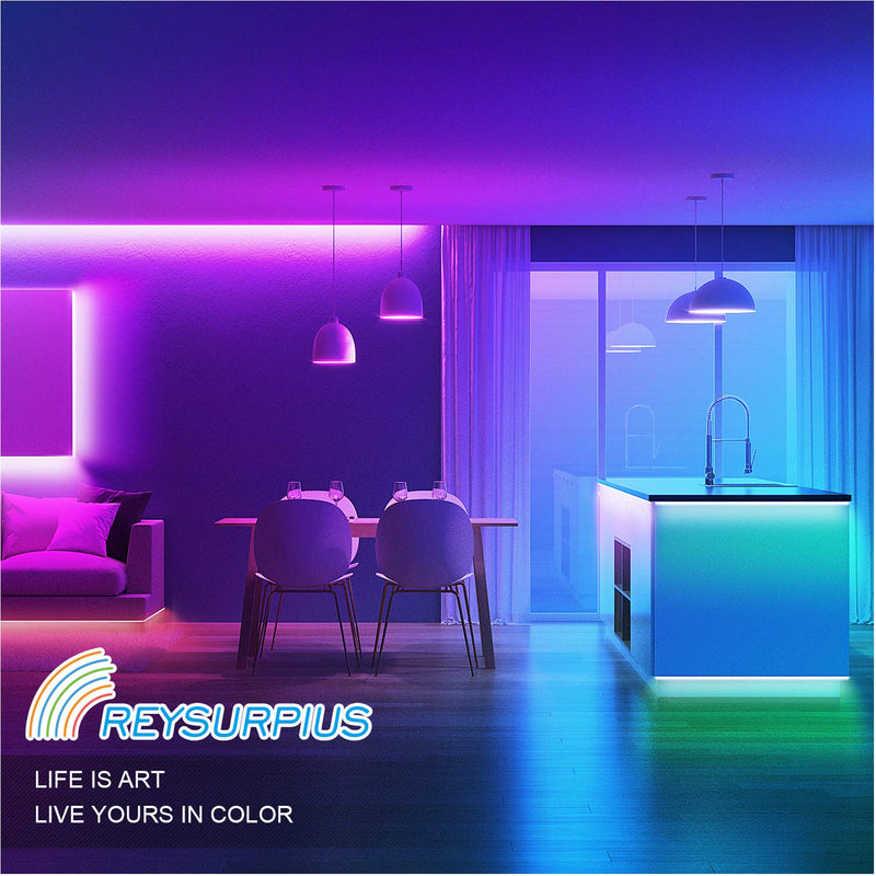 [AUSTRALIA] - REYSURPIUS Led Strip Lights Remote Controller Full Kit, 2-Port 44 Keys Wireless IR Remote with Receiver for RGB 5050 2835 3528 LED Strip Lights. Dual Outputs 