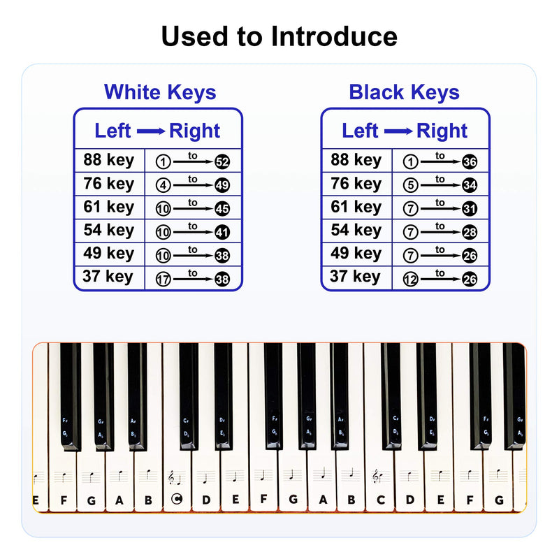 BASTON Piano Keyboard Stickers for Beginners 88/76/61/54/49/37 Keys - Removable, Transparent, Double Layer Coating Piano Stickers - Perfect for Kids, Big Letters, Easy to Install with Cleaning Cloth 88 Keys All Black