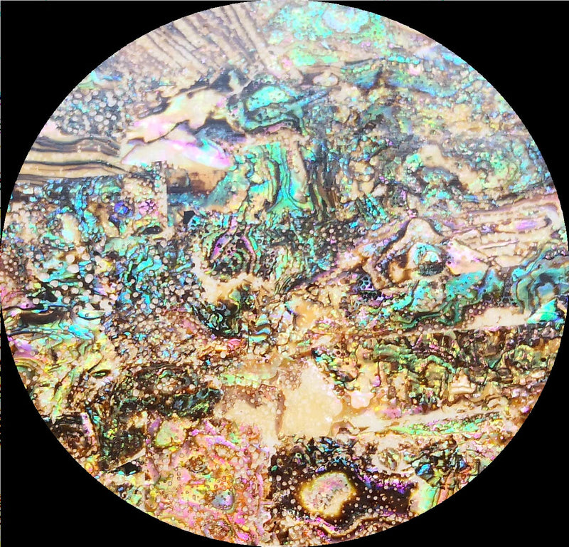 [AUSTRALIA] - Pure Paua Abalone Shell Sheet for Inlay and Overlay with Backside Tape (9.4" x 5.5" x 0.007") 