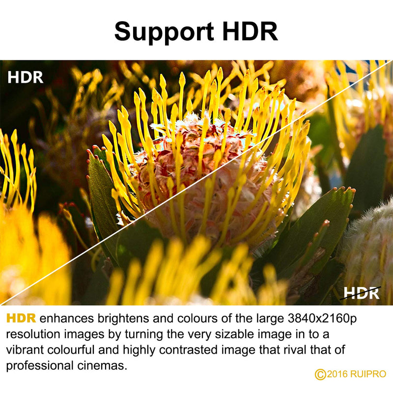 HDMI Fiber Cable RUIPRO 4K60HZ HDR 6 feet Light Speed HDMI2.0b Cable, Supports 18.2 Gbps, ARC, HDR10, HDCP2.2, 4:4:4, Ultra Slim and Flexible HDMI Optic Cable with Optic Technology (2m) 2m