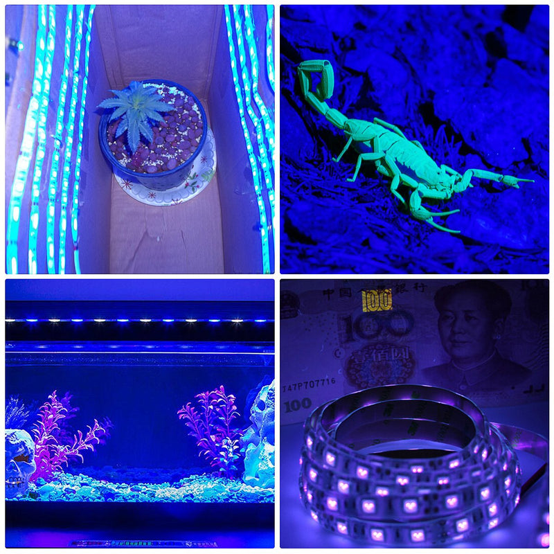 [AUSTRALIA] - UV Light Strip - 2020 New Design Battery Operated LED Black Light Strip Kit with 6.6FT 2M SMD 3528 IP65 Waterproof Super Bright LED Strip Lights, Battery Case 