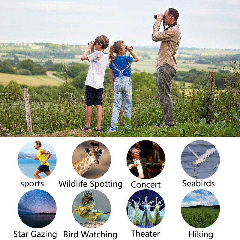 POLDR 12X25 Small Pocket Binoculars Compact Adults,Mini Kids Binoculars Boys for Bird Watching,Concert Theater Opera Black