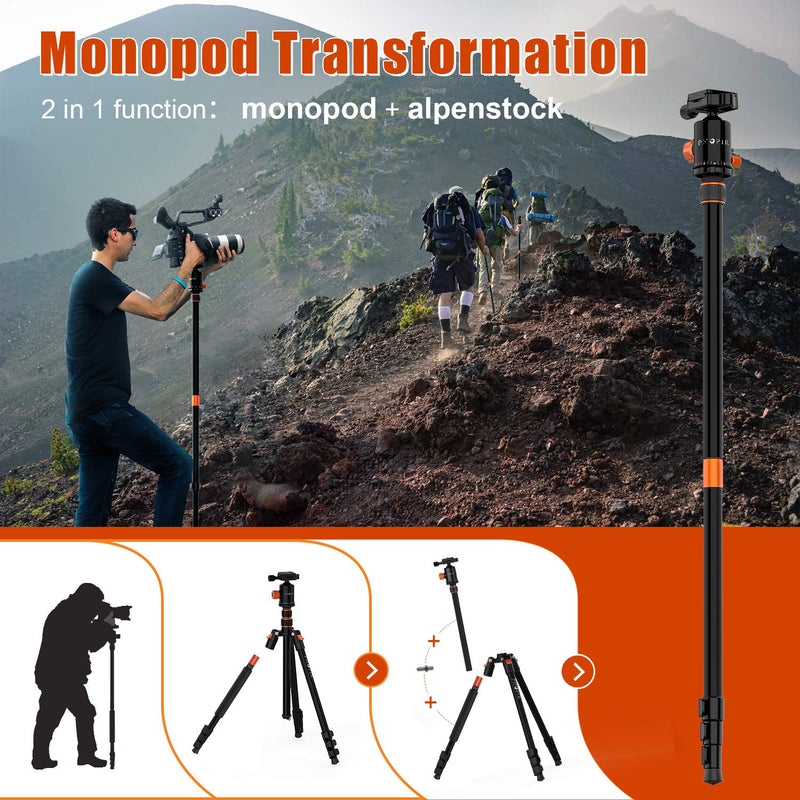 PHOPIK 77" Camera Tripod,Travel Tripod for DSLR,Professional Tripod with 360 Degree Ball Head,Camera Tripods & Monopods with Carry Bag for Ipad,Phone,Canon,Nikon,Lightweight Load up to 17.6 Pounds