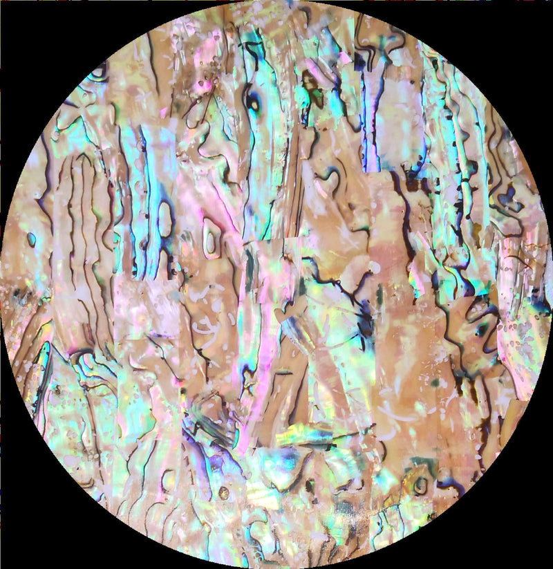 [AUSTRALIA] - Light Color Paua Abalone Shell Flat Sheet for Inlay and Overlay with Backside Tape (9.4" x 5.5" x 0.007") 