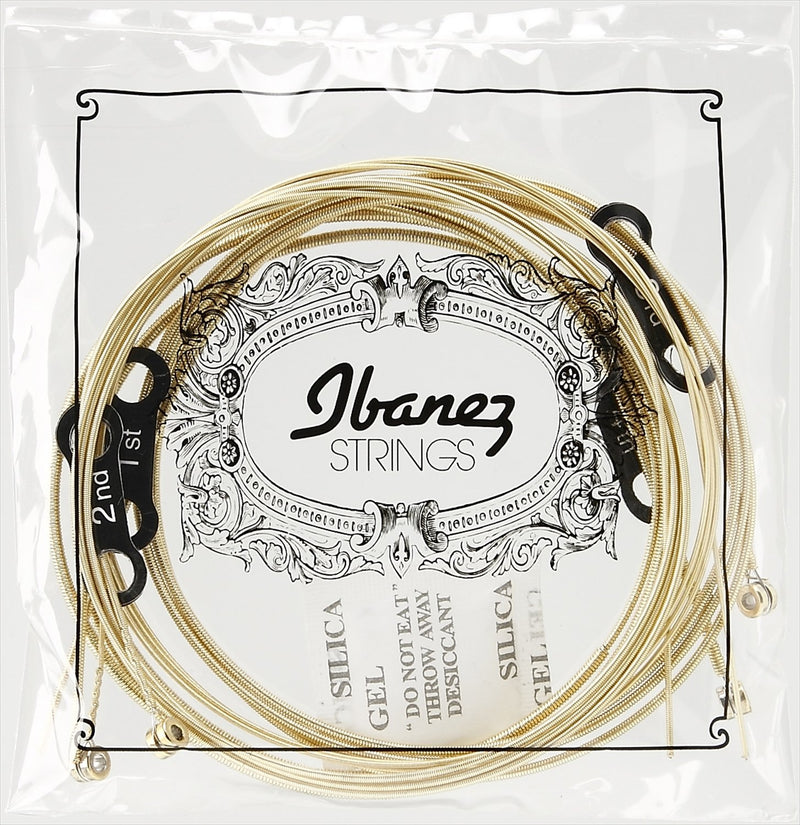 Ibanez Bronze Wound 80/20 Acoustic Bass Guitar String Set - Light Gauge