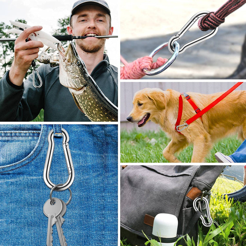 [AUSTRALIA] - Stainless Steel Small Carabiner Clip, 14Pcs Heavy Duty Spring Snap Hooks Spring Clips Quick Link Keychain, Easy Open and Close for Camping, Hiking, Traveling, Fishing, Backpack, M4 1.57inch 