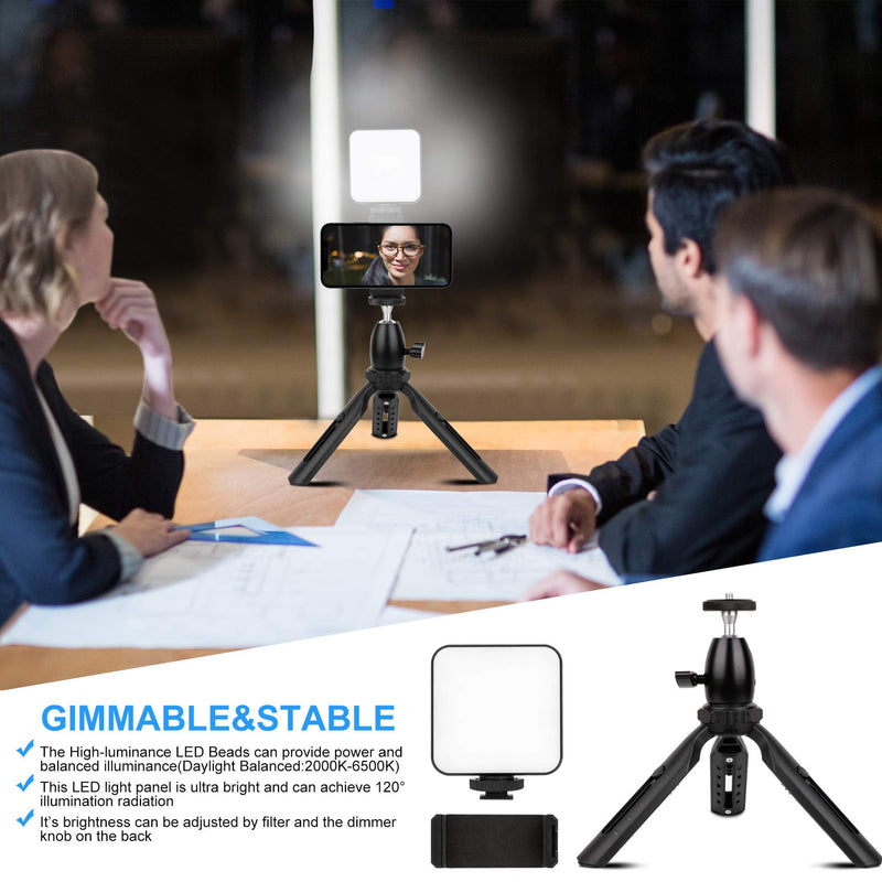 Akinger Selfie Light with Tripod Stand, Video Conference Light, Dimmable for Live Streaming/Makeup/Video Recording/Vlog, LED Light Holder Tripod Removable, Use for Cell Phone Laptop