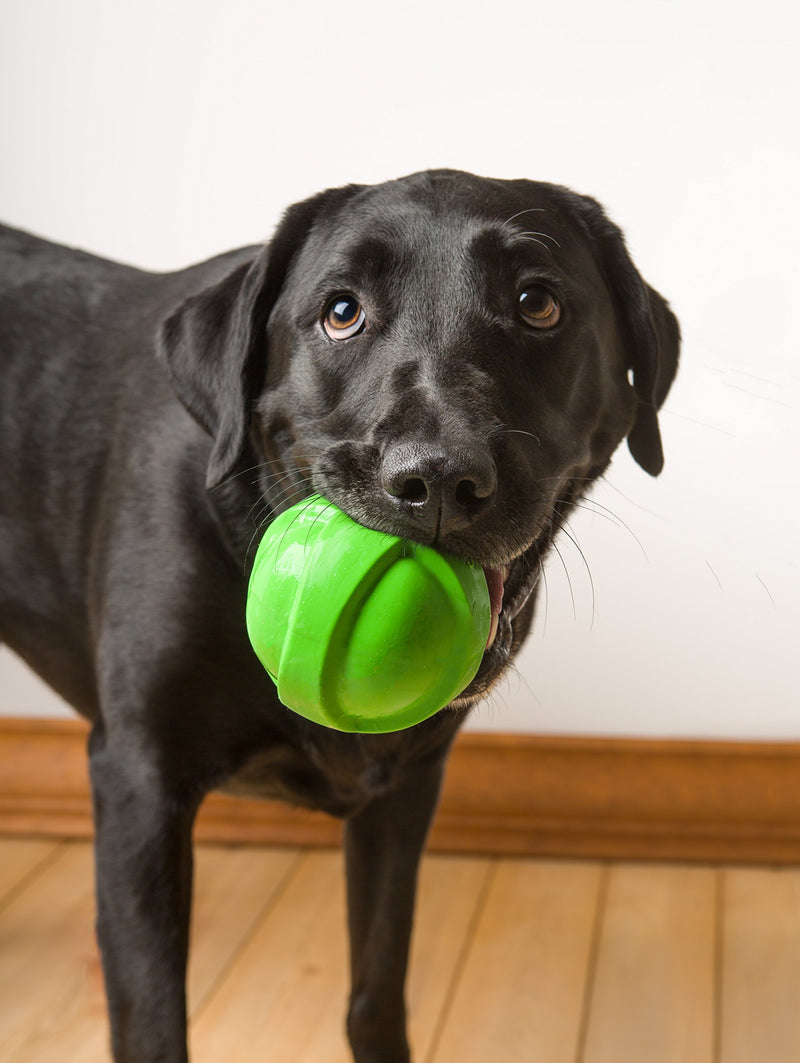 Hartz DuraPlay Bacon Scented Dog Toys Large (Pack of 1) Ball