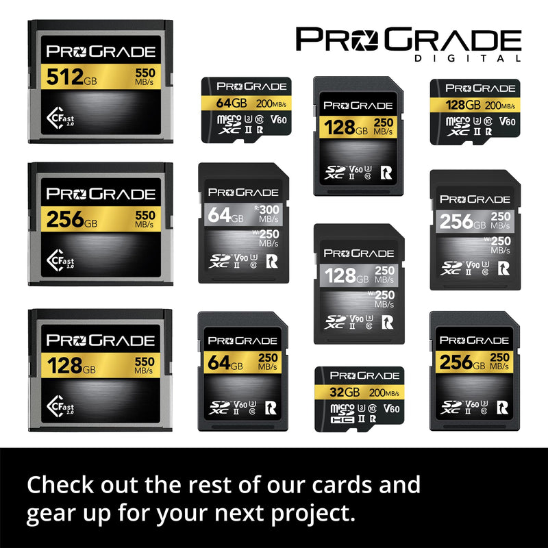 [AUSTRALIA] - Prograde Digital SD UHS-II 64GB Card V60 –Up to 130MB/s Write Speed and 250 MB/s Read Speed | for Professional Vloggers, Filmmakers, Photographers & Content Curators 