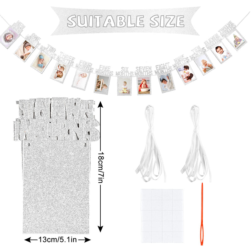 Whaline 1st Birthday Baby Photo Banner for Newborn to 12 Months, Monthly Milestone Photograph Bunting Garland, First Birthday Celebration Decoration (Silver) Silver