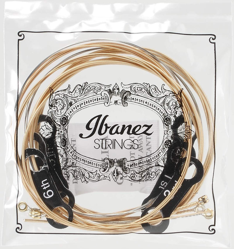 Ibanez IACSP6C Phospher Bronze Acoustic Guitar Strings - Light, IACSP6C .012/.016 /.024 /.032 /.042 /.053