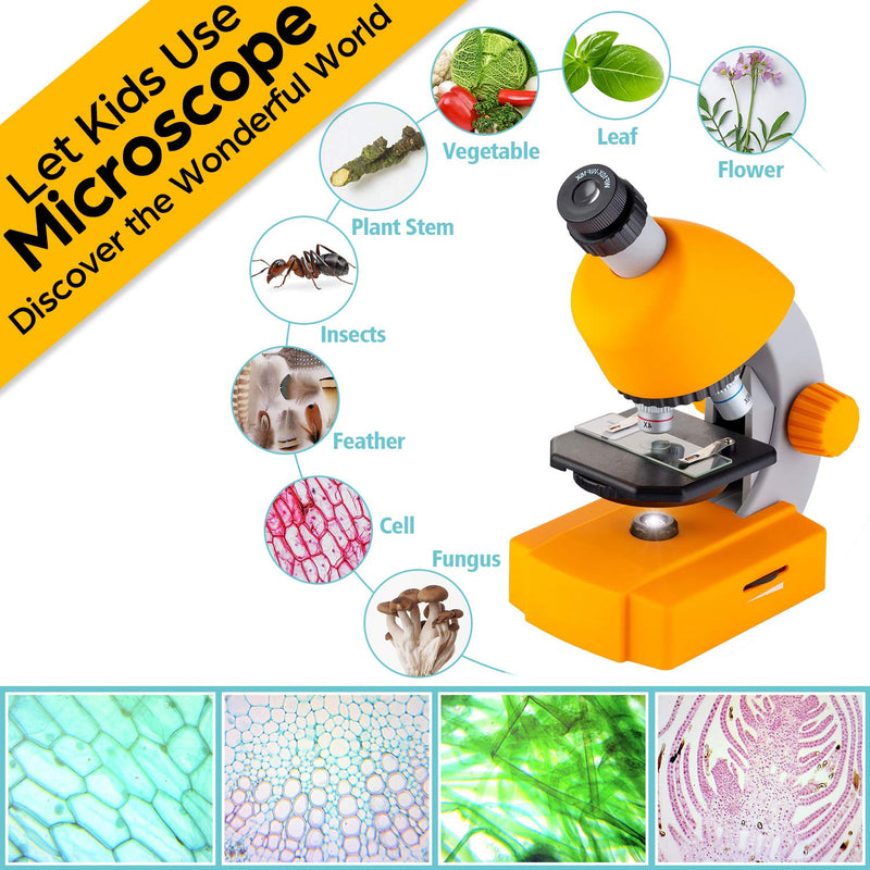 40X-640X Microscope for Student and Kids Education Zoom Compound Monocular with LED Light and Smartphone Holder, Family Time for Children and Parents