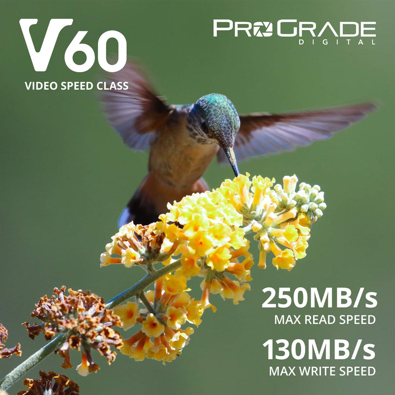 [AUSTRALIA] - Prograde Digital SD UHS-II 64GB Card V60 –Up to 130MB/s Write Speed and 250 MB/s Read Speed | for Professional Vloggers, Filmmakers, Photographers & Content Curators 